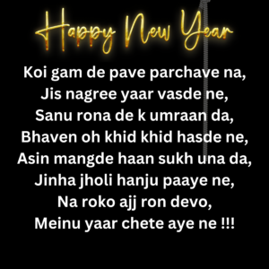 Happy New Year Wishes in Punjabi Language 2024