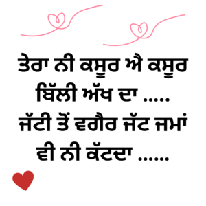 love Shayari in Punjabi two lines